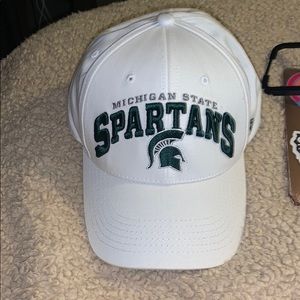 Michigan state hat